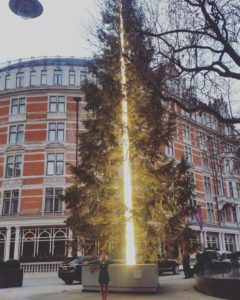 xmas4